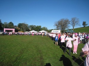 Run for the Cure 2015 -4A
